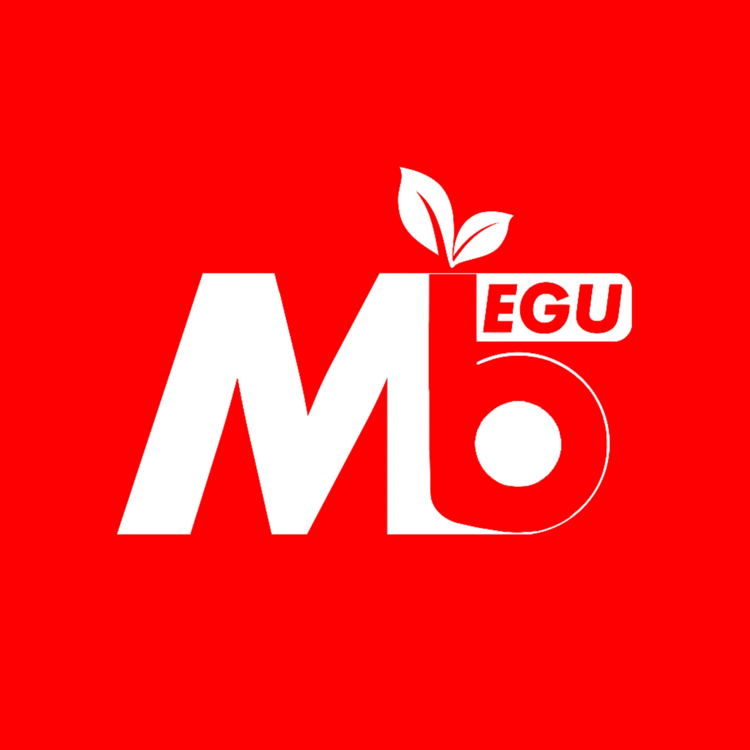 Logo Mbegu